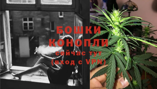 молекула духа Балабаново