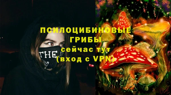 молекула духа Балабаново