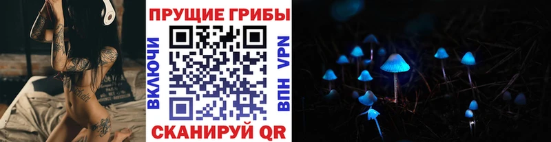 цена Ульяновск Галлюциногенные грибы Psilocybine cubensis