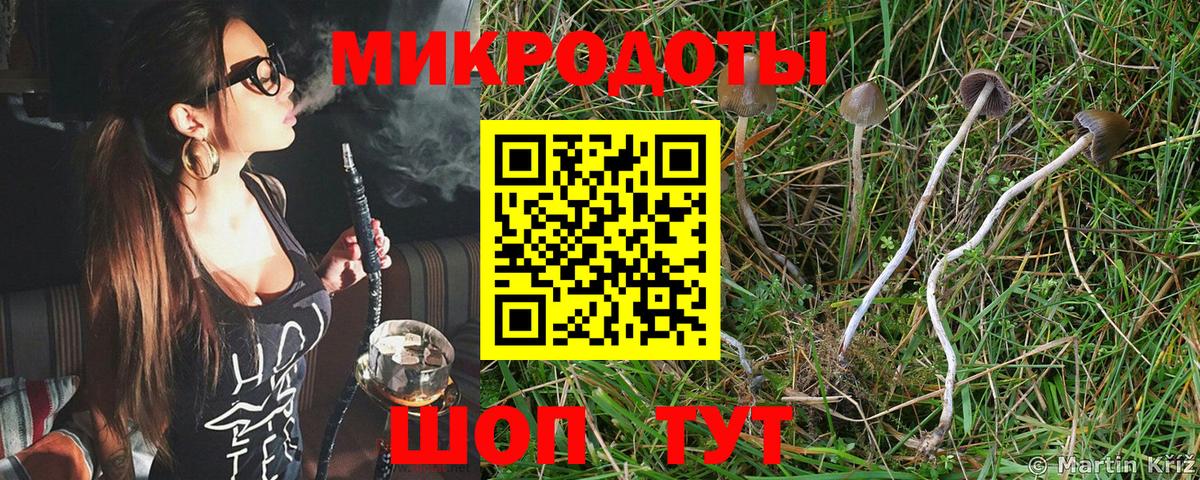 Ульяновск  Псилоцибиновые грибы Cubensis  Вход с VPN 