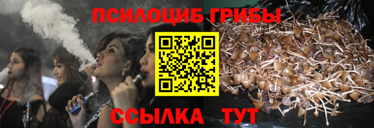 Псилоцибиновые грибы GOLDEN TEACHER Ульяновск
